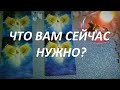 ЧТО ВАМ💯 СЕЙЧАС НУЖНО? РАССКАЖУТ МАГИЧЕСКИЕ🕊️ АНГЕЛЫ СВЕТА🧚