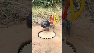 Pigeon Trap Trick You’ve NEVER Seen 😳🕊️