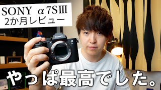 【約2か月レビュー】SONY α7SⅢを使って分かった良かったことと悪かったこと
