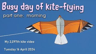 Busy day of kite-flying - part one: morning - YouTube