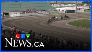 67th Gold Cup & Saucer brings top harness horses and drivers to Charlottetown