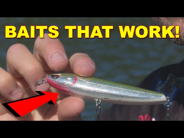 Spring Topwater Baits  Bass Fishing 