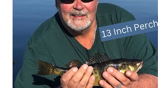 Monster Perch and Crappie fishing with Mike in Michigan