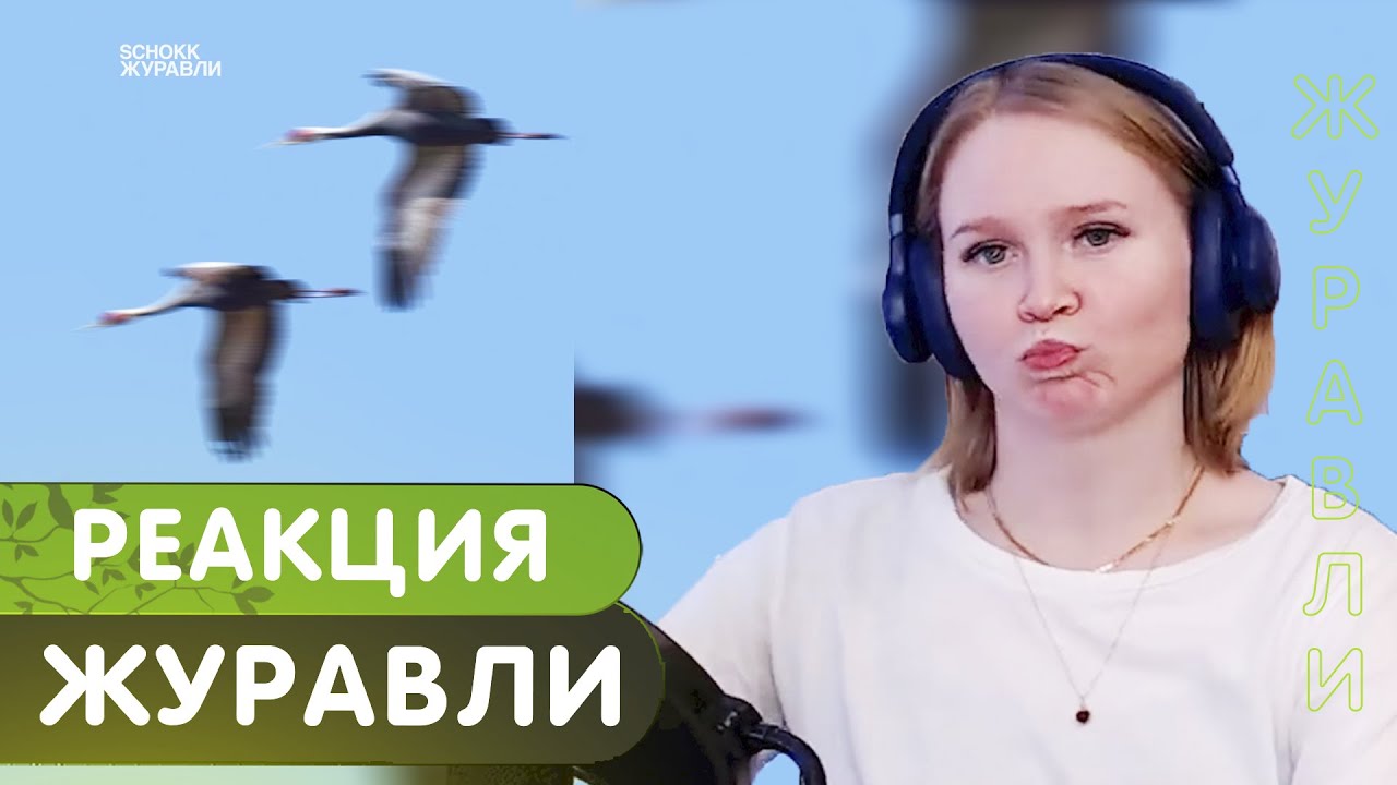 Реакция на SCHOKK - Журавли