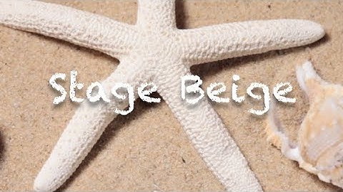 Spiral Dynamics Part 1: Beige  ||  Great Awakening School