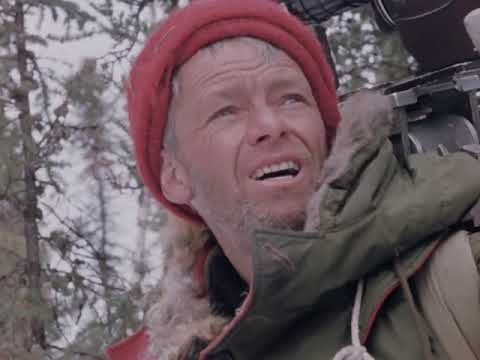 Cry of the Wild