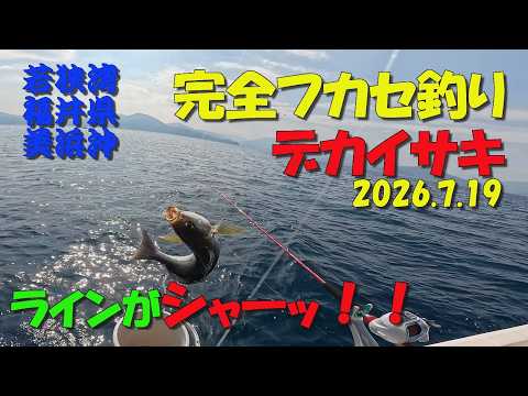 完全フカセ釣りでデカイサキ！ 2026.7.19 ～若狭湾 福井県三方郡美浜沖