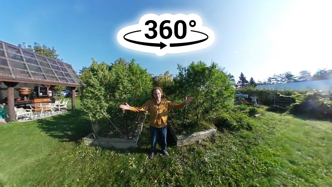 Dreamers 360° Cannabis Tour
