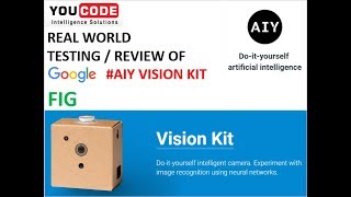 Real world Testing of Google AIY Vision Kit Fig