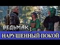 Ведьмак 3. Нарушенный покой.  Скрытые квесты - Скеллиге.