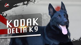 Kodak Delta K9