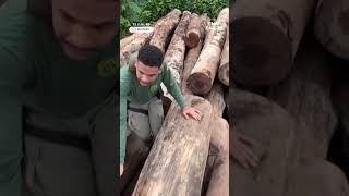 ทั่วโลกยินดี ป่าแอมะซอนถูกทำลายลดลง | TNN EARTH | 13-02-2569