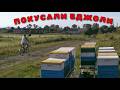 DOKOCHUVASYA Take The Apiary Away How We Were KICKED Out Of The Village DOKOCHUVASYA Take The Apiary Away How We Were KICKED Out Of The Village
