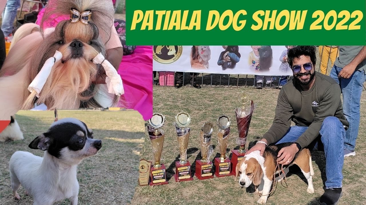 PATIALA DOG SHOW 2022 Today | CHEAPEST DOG MARKET IN INDIA | आज देखा 2 लाख रुपये का Bull Dog| PART-I