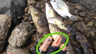 Tips on fishing casting using soft lure screenshot 4
