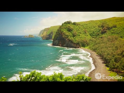 Vídeo: El governador de Hawaii demana als turistes que es quedin a casa enmig de l'augment dels casos de COVID-19