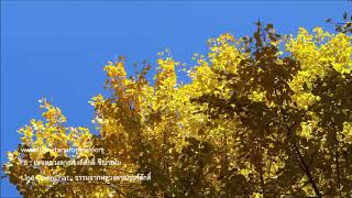 200531A1-2 เลียนแบบธาตุรู้ ตอนที่ 1