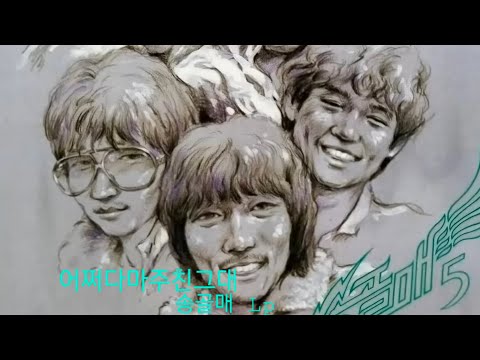 🎵구독!좋아요👍Subscribe! 어쩌다마주친그대 송골매 Lp#음악#LP듣기