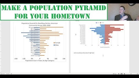 Make a Population Pyramid for Anytown USA (Census Data plus Spreadsheet = Success)