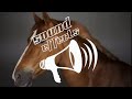 Horse Sound Effect