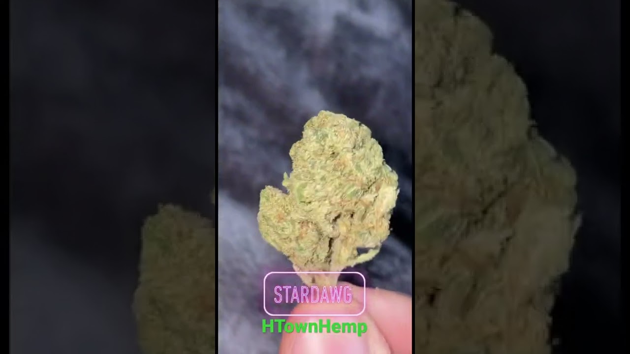 HTownHemp Stardawg (CBD Flower!!)