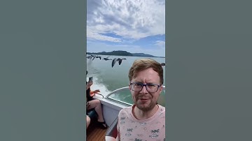 Try Not To Laugh At How Snakes Drink Water 💦🤣 +Interesting Things