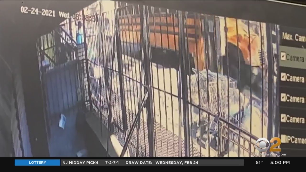 6-Year-Old Boy Struck By School Bus, Killed In Brooklyn - YouTube