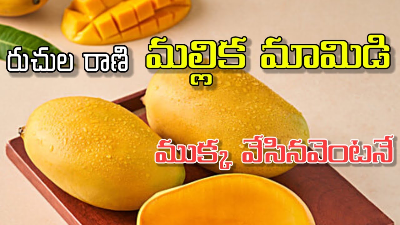 రుచుల రాణి మల్లిక మామిడి – ముక్క వేసినవెంటనే మధురానుభూతి! Mallika Manga variety