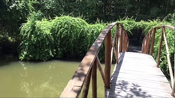 Du lịch Vàm sát cần giờ ngắm chim