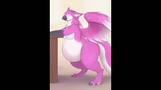 Gryphon Belly