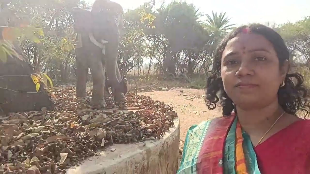 আজ কল্যাণেশ্বরী মন্দির যাচ্ছি পূজো দিতে সবাই মিলে একসাথে #blog #youtubevideos 