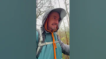 What Does It Look Like To You 