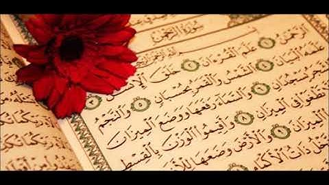 عشائية مباركة للقارئ عبدالرحمن بن عماد زهير حافظ من أول سورة الرحمن