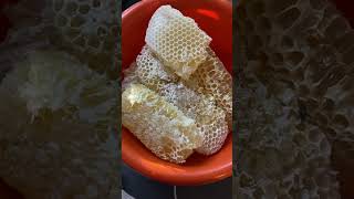 Пчёлки трудяги. Нарезал мёда.#мёд#пасека#пчёлы