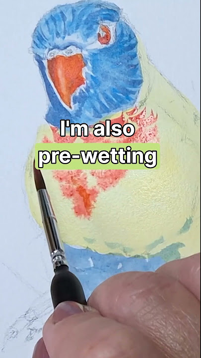 Watch This Parrot Come Alive With Just 3 Colors!
