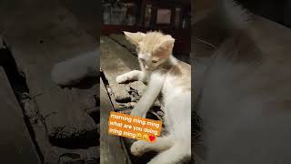 loveyoukittysocutefypppppppp