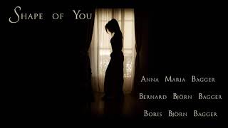 Shape of You Ed Sheeran Anna Maria Bernard Boris Björn Bagger Mandolin Mandola Guitar Cover Resimi