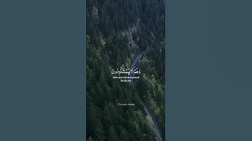 ياسر الدوسري_سورة النحل | yasser aldossari sura nahl