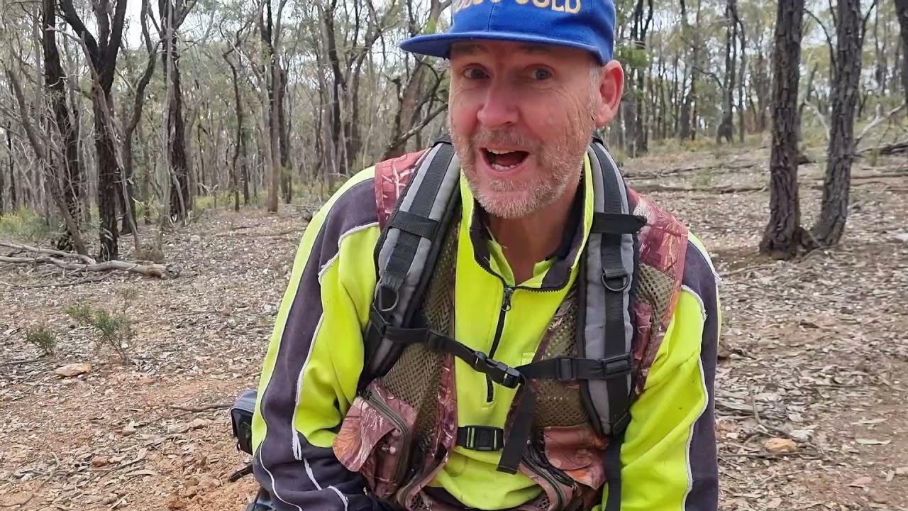 GPZ 7000 Nugget finder 12