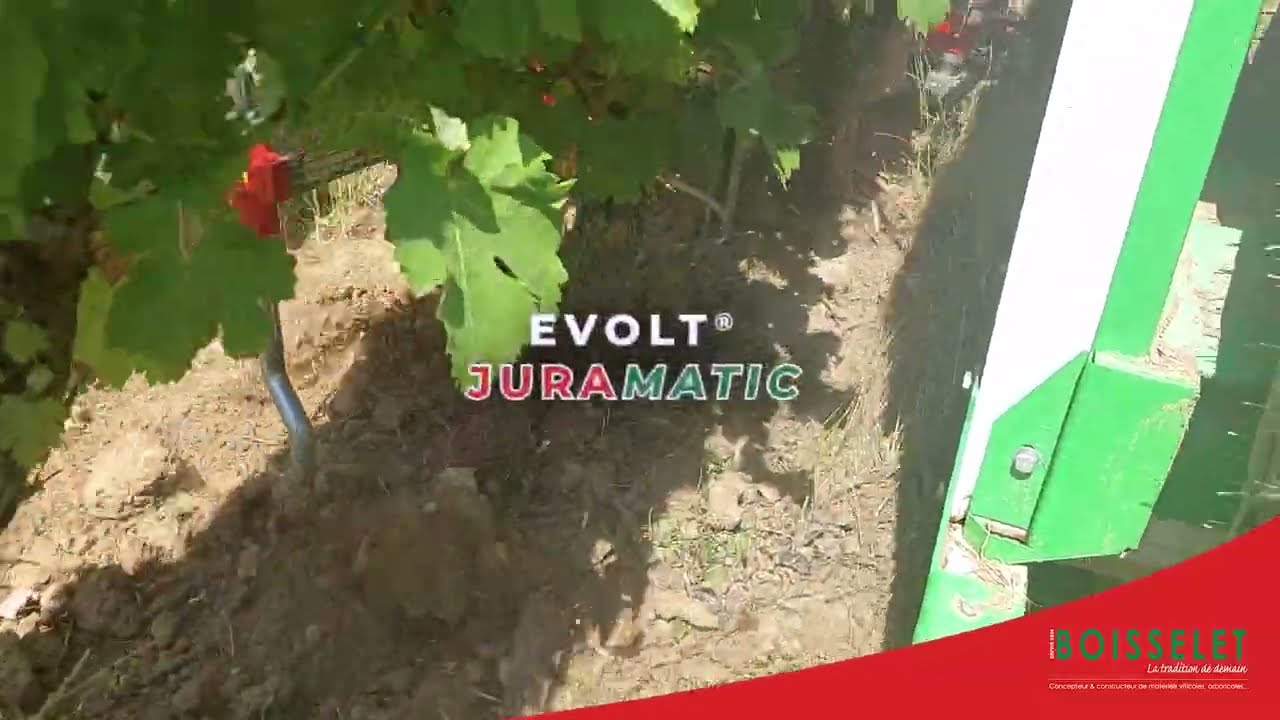 Binage d’été avec les bineuses à doigts KULT-KRESS & le ⚡servomoteur électrique EVOLT® JURAMATIC  🍇
