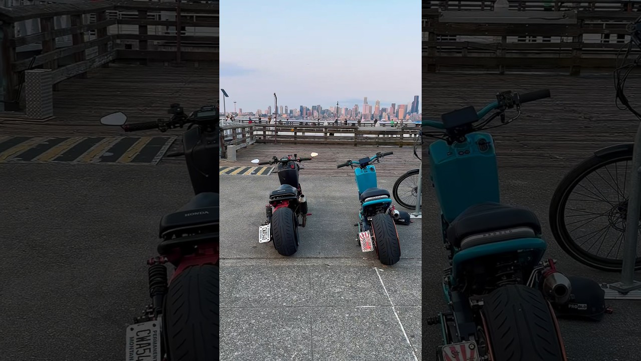 Scoot Life - YouTube