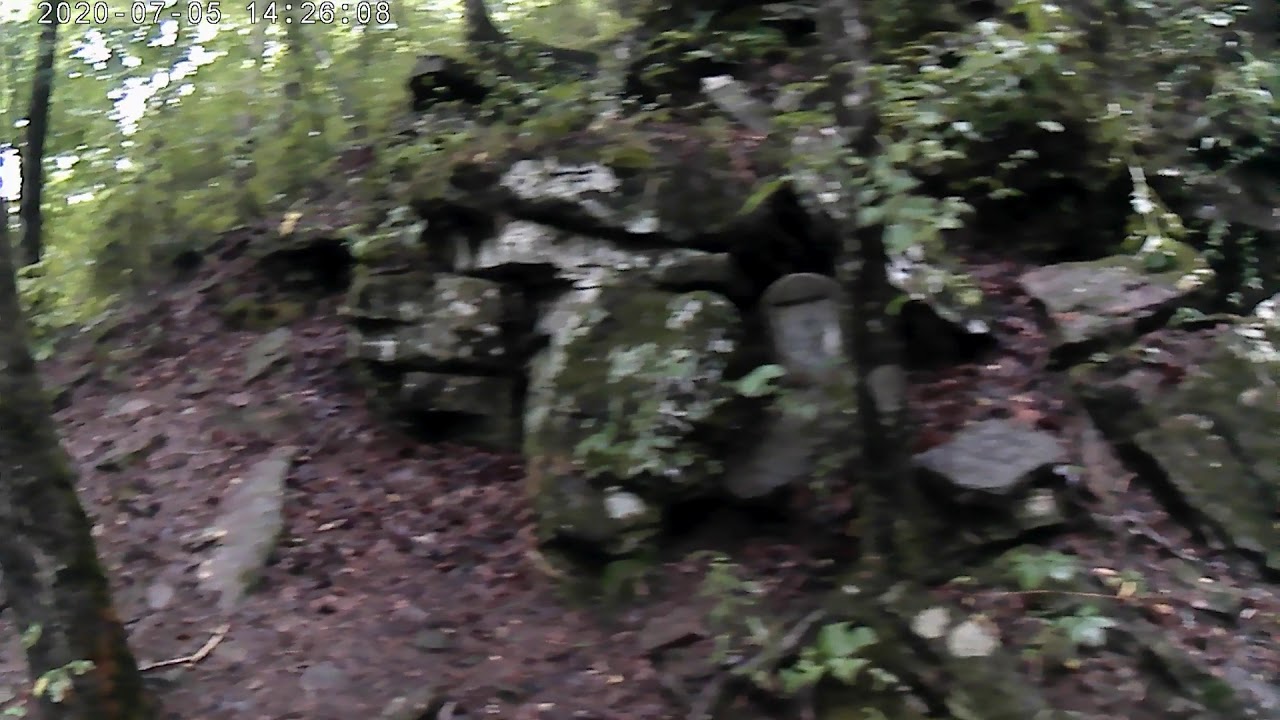 Turner Bend Store and Falls YouTube