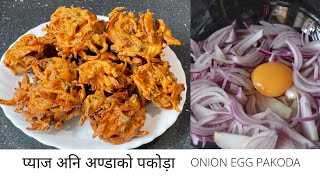 यो नयाँ तारीकामा प्याजको पकोड़ा सारै स्वादिष्ट हुन्छ || EGG ONION PAKORA || PYAZI BANAUNE TARIKA