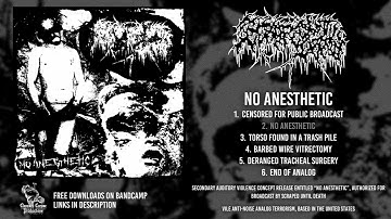 Scraped Until Death - No Anesthetic (Gorenoise/Voidnoise - 2025)