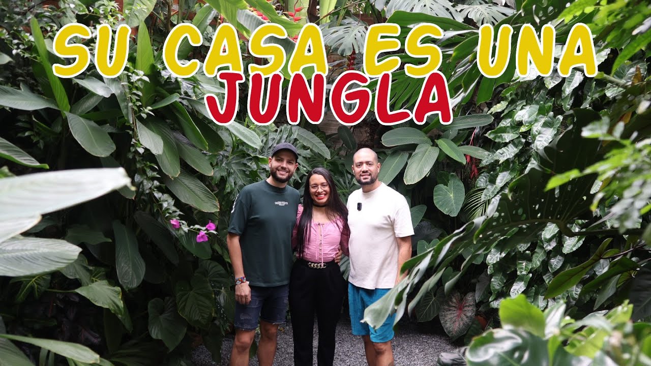 Trasformaron su casa en una JUNGLA URBANA llena de plantas de interior exóticas │Candy Bu