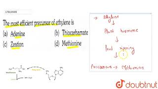 The most rfficient precursor of ethylene is