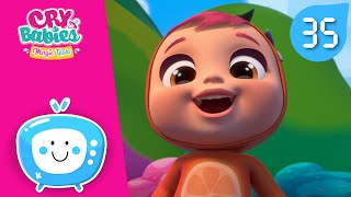  Frullati Tutti Frutti Cry Babies Magic Tears Cartoni Animati Per Bambini In Italiano