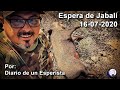 Espera de Jabalí 16-07-2020. Vaya odisea!!