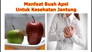 Manfaat Buah Apel Untuk Kesehatan Jantung