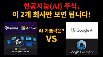 인공지능 AI 주식은 이 2개 회사만 보면 됩니다 마이크로소프트 MSFT 구글 GOOGL